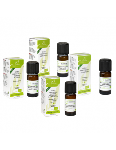 Coffret aromathérapie 4 huiles essentielles bio + aromathèque + livre